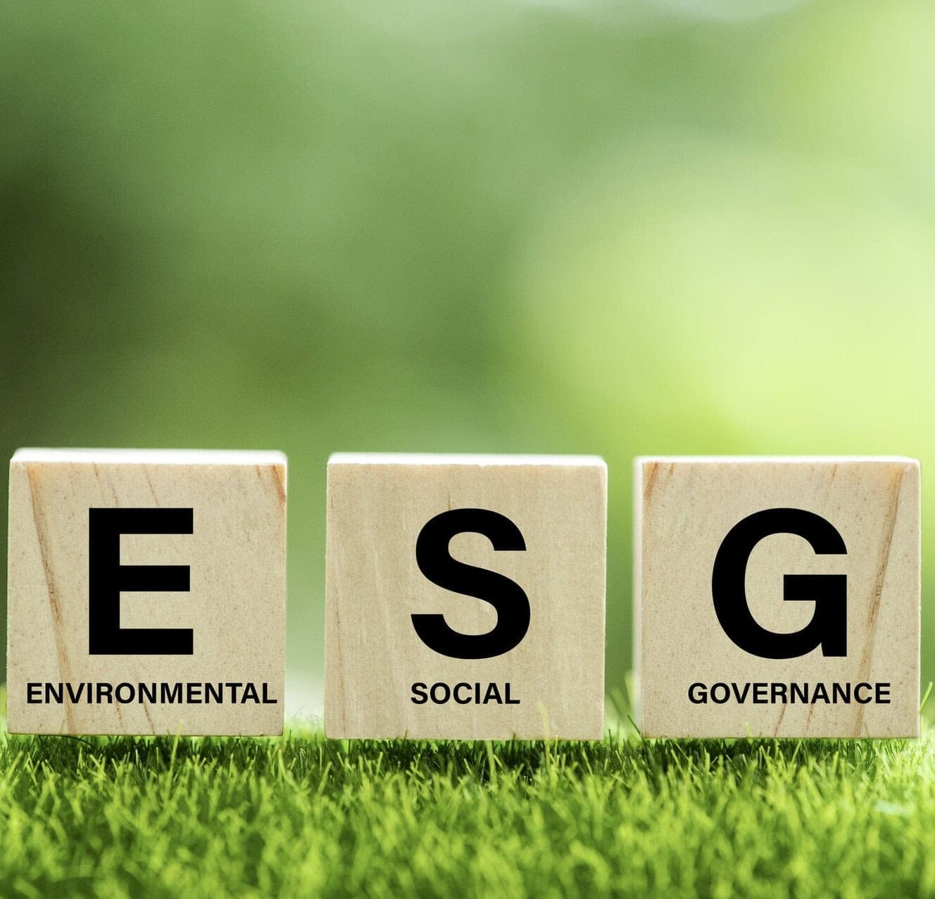 istock 1331964973 esg blocks